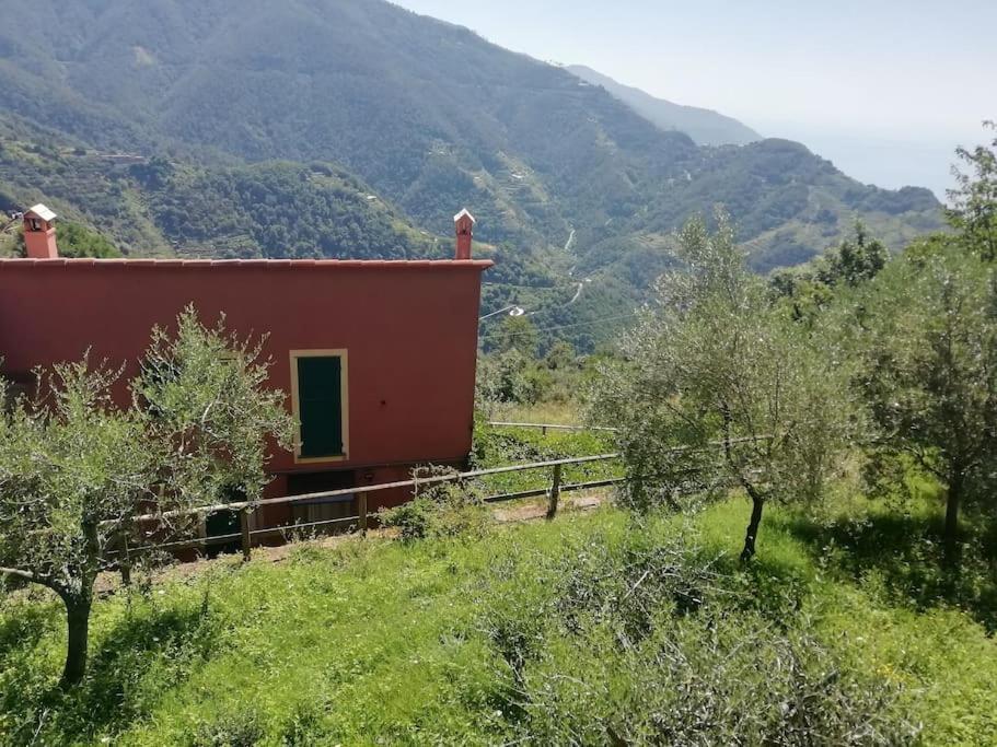 Quiet And Cozy Home With Wi-Fi Casa Prearino Vernazza Esterno foto