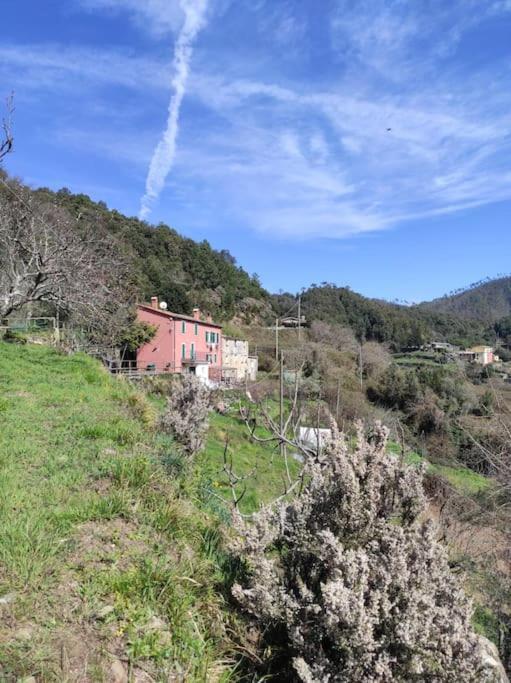Quiet And Cozy Home With Wi-Fi Casa Prearino Vernazza Esterno foto