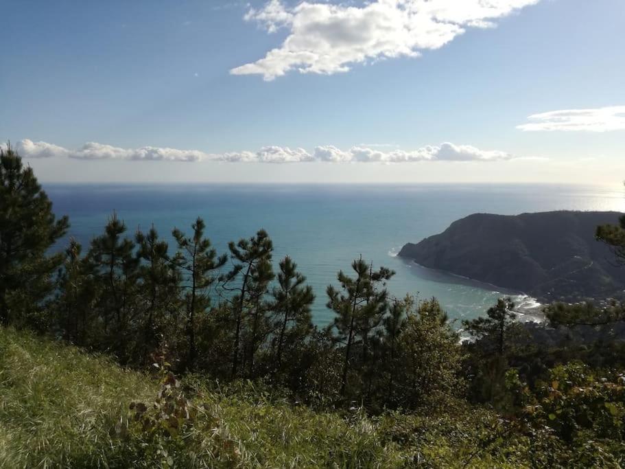 Quiet And Cozy Home With Wi-Fi Casa Prearino Vernazza Esterno foto